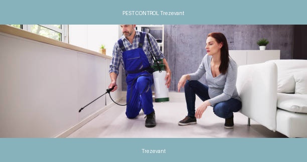 PEST CONTROL Trezevant